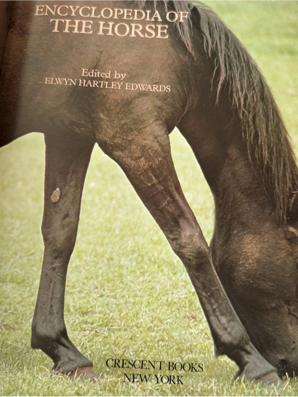 Encyclopedia of The Horse Hardcover Book Vintage